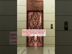 Metalowy Stalowy Gua Sha Cena windy pasażerski sterownik windy