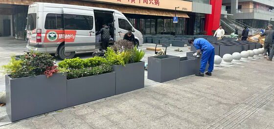 Dobra cena Niestandardowa donica ze stali nierdzewnej z systemem samonawadniającym w Internecie